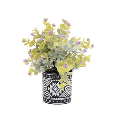 PLANTA CON MACETA 7.5CM