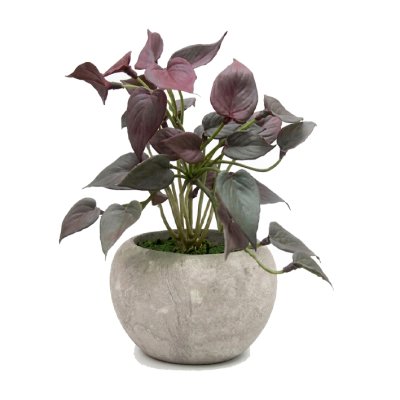 PLANTA CON MACETA 6CM