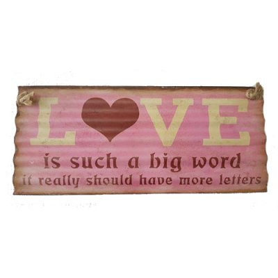 Chapa Vintage RO6586 N°15 30x13cm