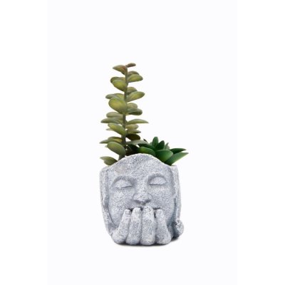 PLANTA CON MACETA BUDA 10CM